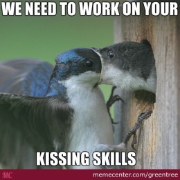 kissing-skills_o_2504711